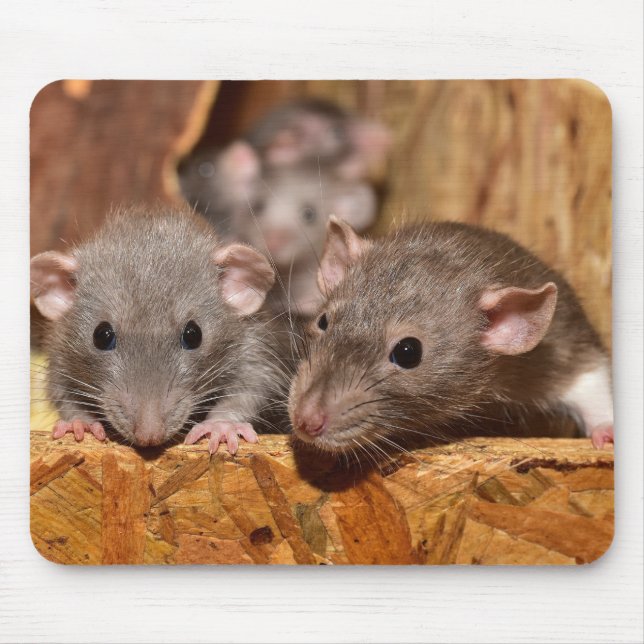 Cute and Ironic Mouse Pad (Front)