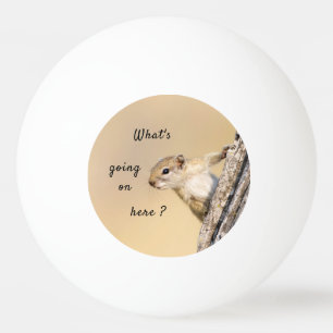 Cute and nosy Tree Squirrel photo Ping Pong Ball