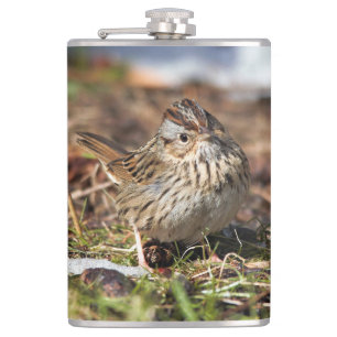 Cute and Spunky Lincoln's Sparrow Hip Flask