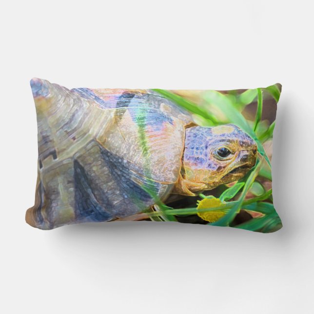 Cute Angulate Tortoise South Africa Details Lumbar Cushion (Front)