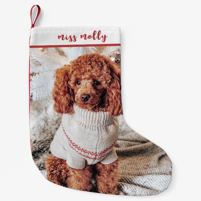 Cute Animal Pet Christmas Photo Small Christmas Stocking (Front)
