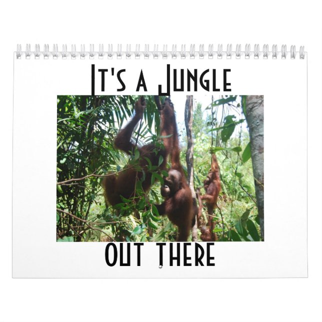 Cute Animal Photography Orangutan Calendar (Cover)
