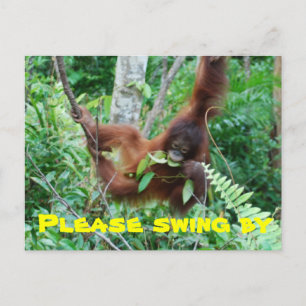 Cute Animal Swingers Party Invitation Postcard