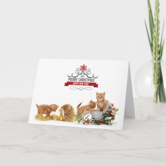 Cute animals cats Christmas card (Front)