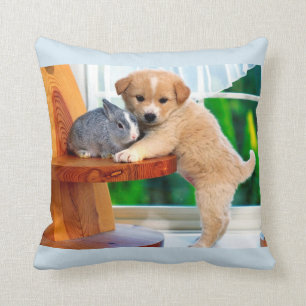 Cute Animals Cushion