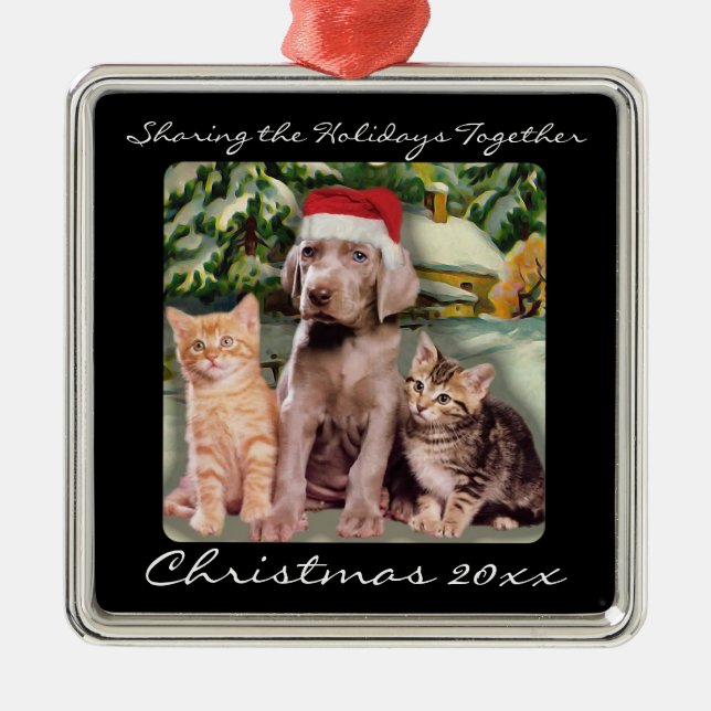 Cute Animals Puppy & Kittens Pet Personalised Metal Ornament (Front)