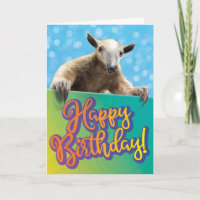 Cute Ant Eater Funny Belated Birthday