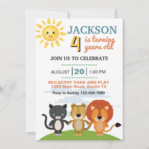 Cute Any Age Birthday Party Invitation
