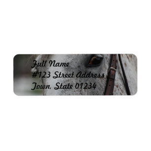 Cute Appaloosa Horse Mailing Label Return Address Label