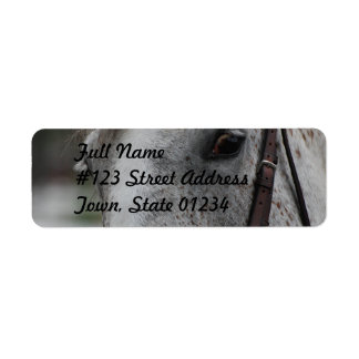 Cute Appaloosa Horse Mailing Label Return Address Label