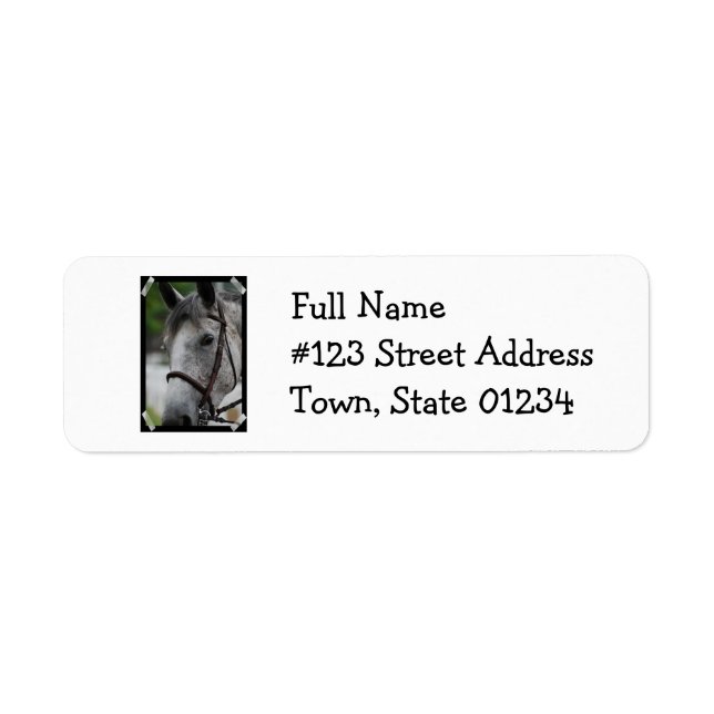 Cute Appaloosa Horse Return Address Mailing Label (Front)