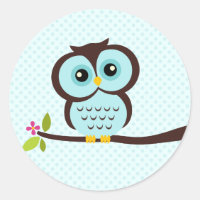 Cute Aqua Owl