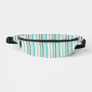 Cute aqua white stripes bum bags
