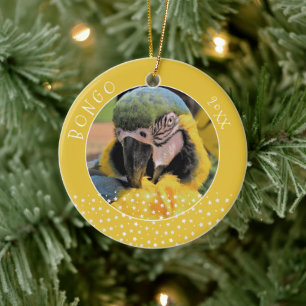 Cute Ara Pet Parrot Photo Star Yellow Christmas Ceramic Ornament