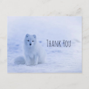 Cute Arctic Fox on Snow Thank You Postcard