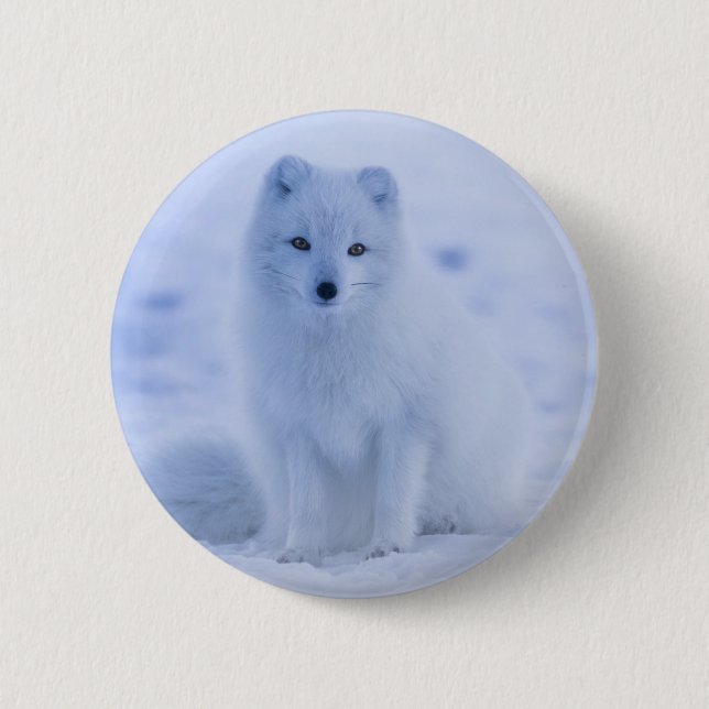 Cute Arctic Fox on Snowy Winter Background 6 Cm Round Badge (Front)