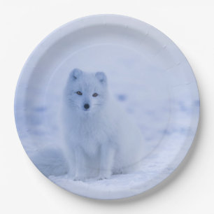 Cute Arctic Fox on Snowy Winter Background Paper Plate