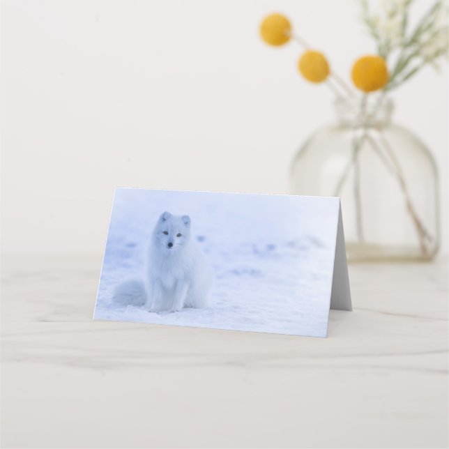 Cute Arctic Fox on Snowy Winter Background Place Card (Front)