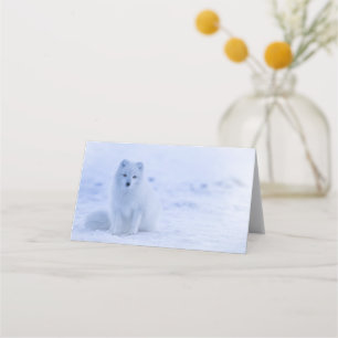 Cute Arctic Fox on Snowy Winter Background Place Card