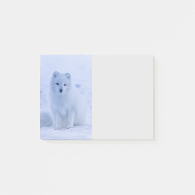Cute Arctic Fox on Snowy Winter Background Post-it Notes (Front)