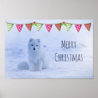 Cute Arctic Fox on Snowy Winter Background