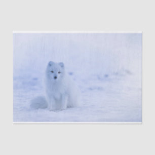 Cute Arctic Fox on Snowy Winter Background Tissue Paper