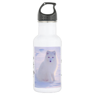 Cute Arctic Fox Winter Outdoor Scene Photo Design 532 Ml Water Bottle