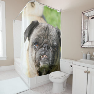Cute as a Pug Shower Curtain
