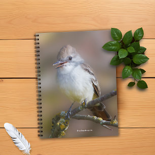 Cute Ash-Throated Flycatcher Songbird on Branch Notebook