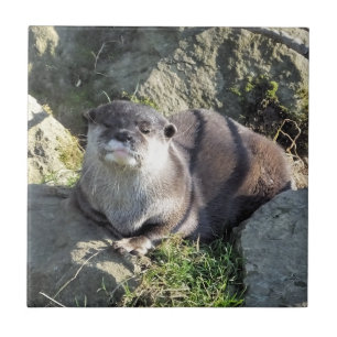 CUTE ASIAN OTTER CERAMIC TILE