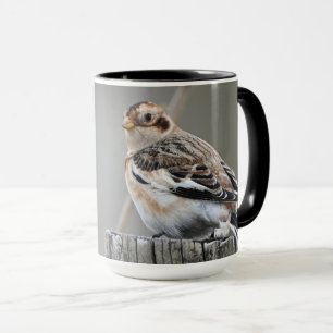 Cute Attractive Snow Bunting Georgia Photography Mug
