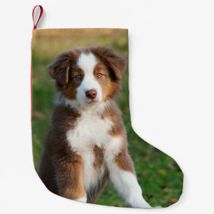Cute Australian Shepherd Dog Puppy - Santa mantle Small Christmas Stocking