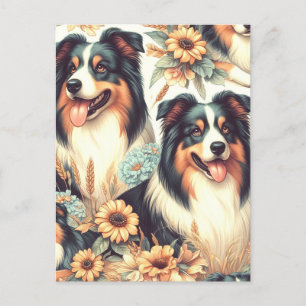 Cute Australian Shepherd Vintage Painting Postcard