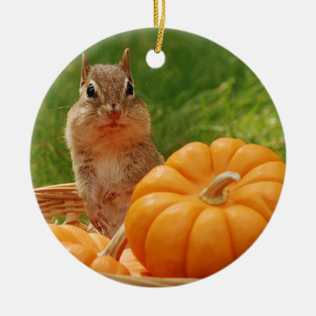 Cute Autumn Chipmunk Ceramic Tree Decoration (Front)