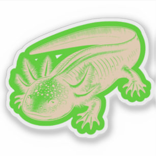 Cute Axolotl New Designs Deep Wood Pallete Vinyl