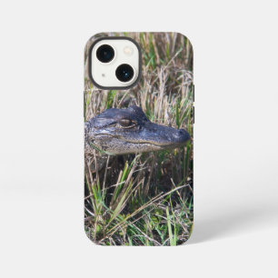 Cute Baby Alligator in Tall Grass Wildlife Photo iPhone 13 Mini Case