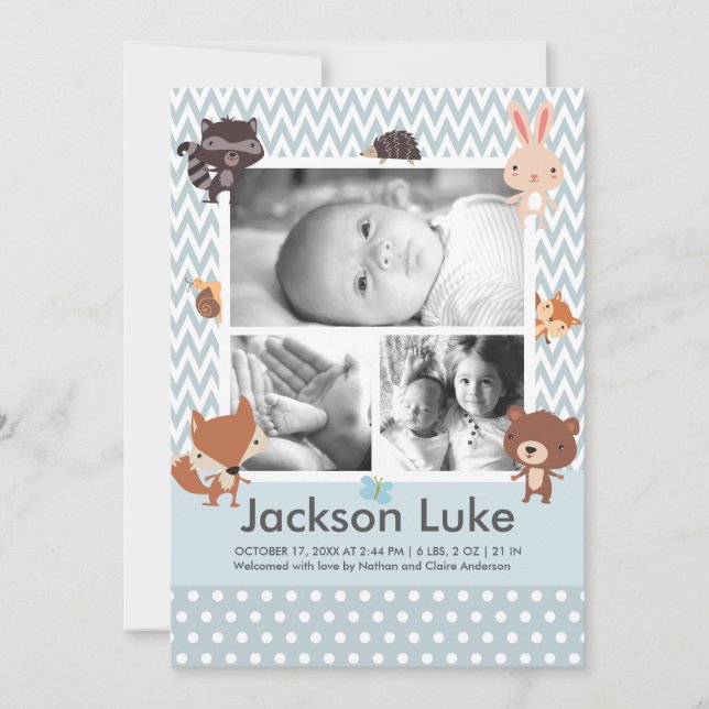 Cute Baby Animals Boy Photo Birth Announcements (Front)