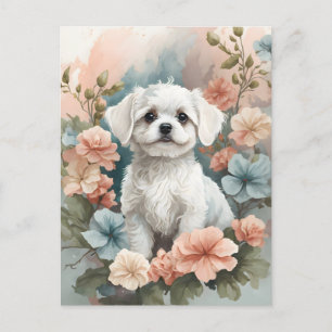 Cute Baby Animals Cute White Maltese Puppy Postcard