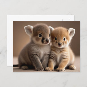 Cute Baby Animals, Postcrossing Postcard