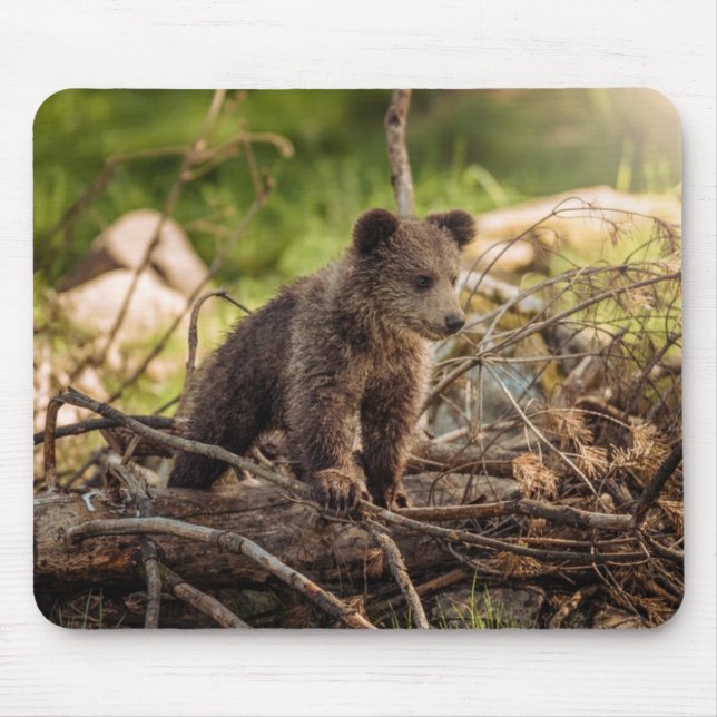 Cute Baby Bear in Woods Mouse Pad (Front)