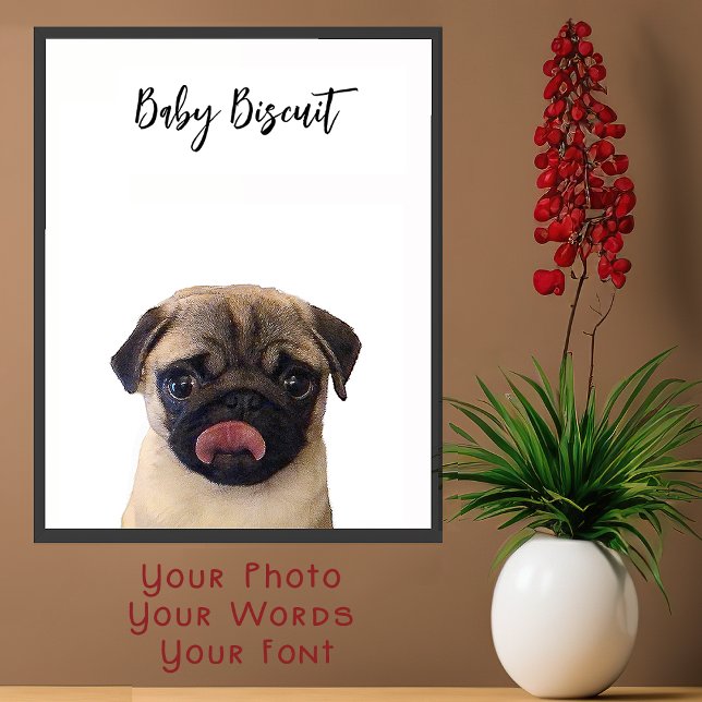 Cute Baby Biscuit Pug Portrait Poster (Creator Uploaded)