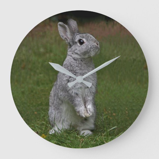 Cute Baby Bunny Clock (Front)