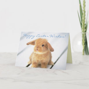 Cute Baby Bunny Happy Easter Design Holiday Card