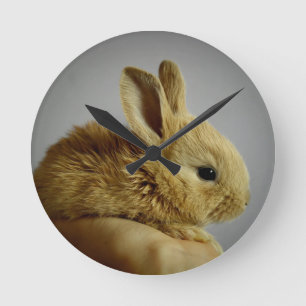 Cute Baby Bunny Rabbit in Hand Round Clock
