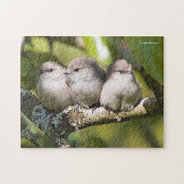 Cute Baby Bushtit Songbirds in the Pear Tree Jigsaw Puzzle (Horizontal)