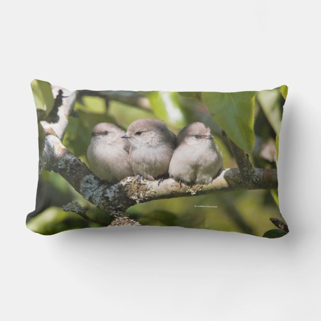 Cute Baby Bushtit Songbirds in the Pear Tree Lumbar Cushion (Front)