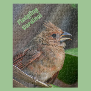 Cute Baby Cardinal Bird Photographic Nature Jigsaw Puzzle