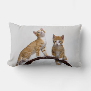 Cute Baby Cats Kittens Funny Gym Photo - Throw Lumbar Cushion