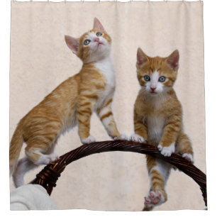 Cute Baby Cats Kittens Funny Play Gym Photo - Tub Shower Curtain