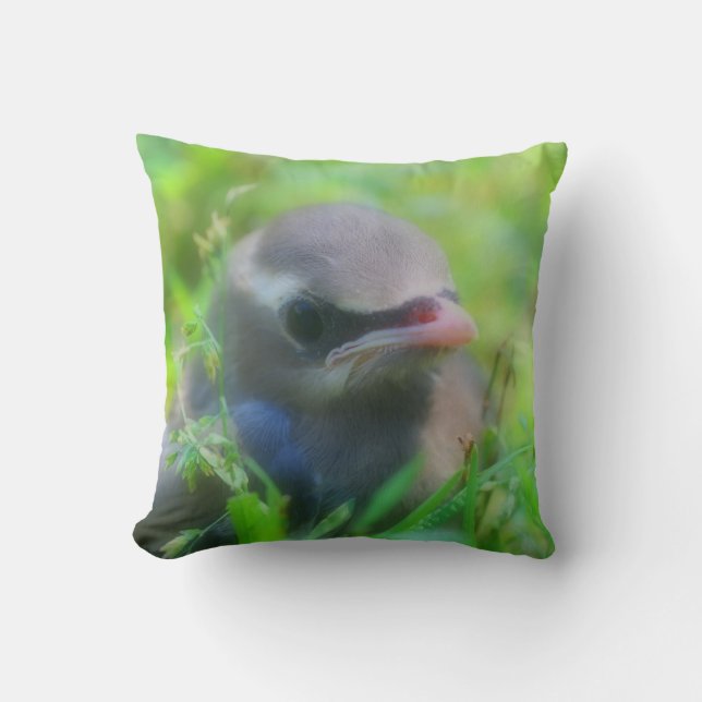 Cute Baby Cedar Waxwing Bird  Cushion (Front)